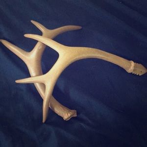 Deer Rattling Antlers
